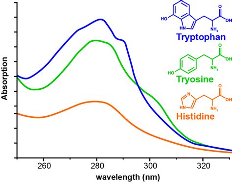 analyzing protein content with uv-visible spectroscopy|absorption spectrum of protein.